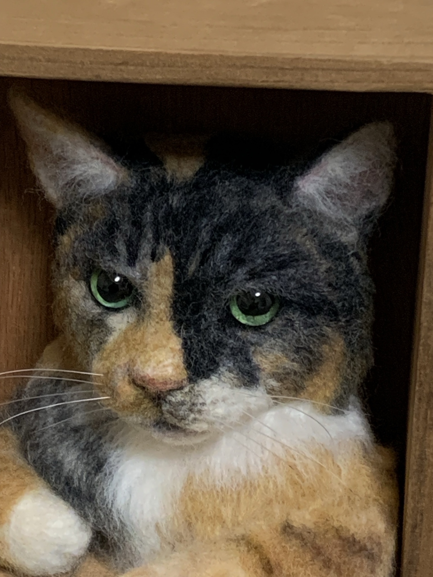 羊毛フェルト 猫 オーダーメイド ぬいぐるみ そっくり リアル ペット 