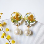 ミモザの花束ピアス/イヤリング
