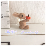 Lilyちゃんオーダーかぼちゃをお届けうささん