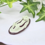 ウミウシチョコミント