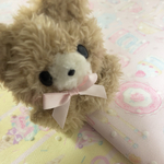 今だけワンコイン！再販☆ぴんくりぼんのちびくま。ぽんずのぬいぐるみ