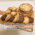 【送料無料】ザクザクチョコチップクッキー6枚　ショコラクッキー4枚　チョコチップクッキー8枚
