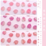オリジナル変色素材★桜のパーツ　アセテート　サクラピンク→ローズピンク→ターキーレッド