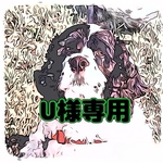 【Reserved】テディドッグ【U様専用】