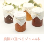 農家の手しごと　選べるジャム（100g）４本セット