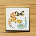 11月誕生花「１１月３日 ハツコイソウ」