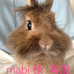 mabi様オーダー品
