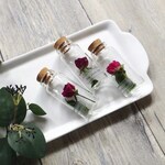 植物標本　Botanical Collection ■ No.R-15 バラ ラブリーリディア