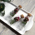 植物標本　Botanical Collection ■ No.R-7-A バラ リトルウッズ