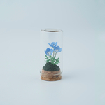 紙で作った枯れない花　ボトルフラワー　ネモフィラ