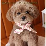 【うちの子オーダー】リアル　愛犬さんのオーダー　羊毛フェルトオーダー　犬　置物　ペット　メモリアル　チワワ　トイプードル　ダックス　ポメラニアン　パピヨン　シーズー　ヨーキー　baophouc