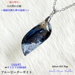 ✨ブルーピーターサイト(大粒🍃リーフ形)✨Silver925Top✨Jewelry天然石ネックレス✨一点物❗️