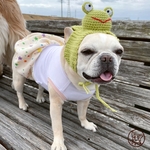 ~ひなた様ご予約用~🐸カエル帽子🐸〜