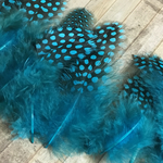ホロホロ鳥 羽 ライトブルー 1３枚セット 3-8cm 金具付き
