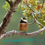 uticoma様専用ページ
