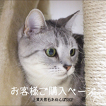 dreamぴぃい様 専用