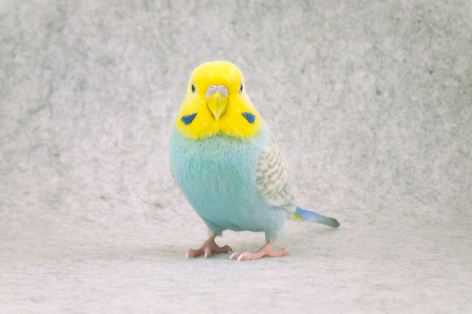 (オカメインコ) ハンドバックNavy nachiの商品一覧 | inkonite いんこにっと