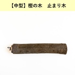 【小型インコ向け】自然木の止まり木
