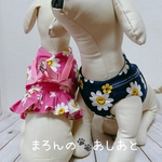 犬猫ハーネス ２点止め　スマイルフラワー　本革花飾り　※オプション裾ミニフリル（＋600）