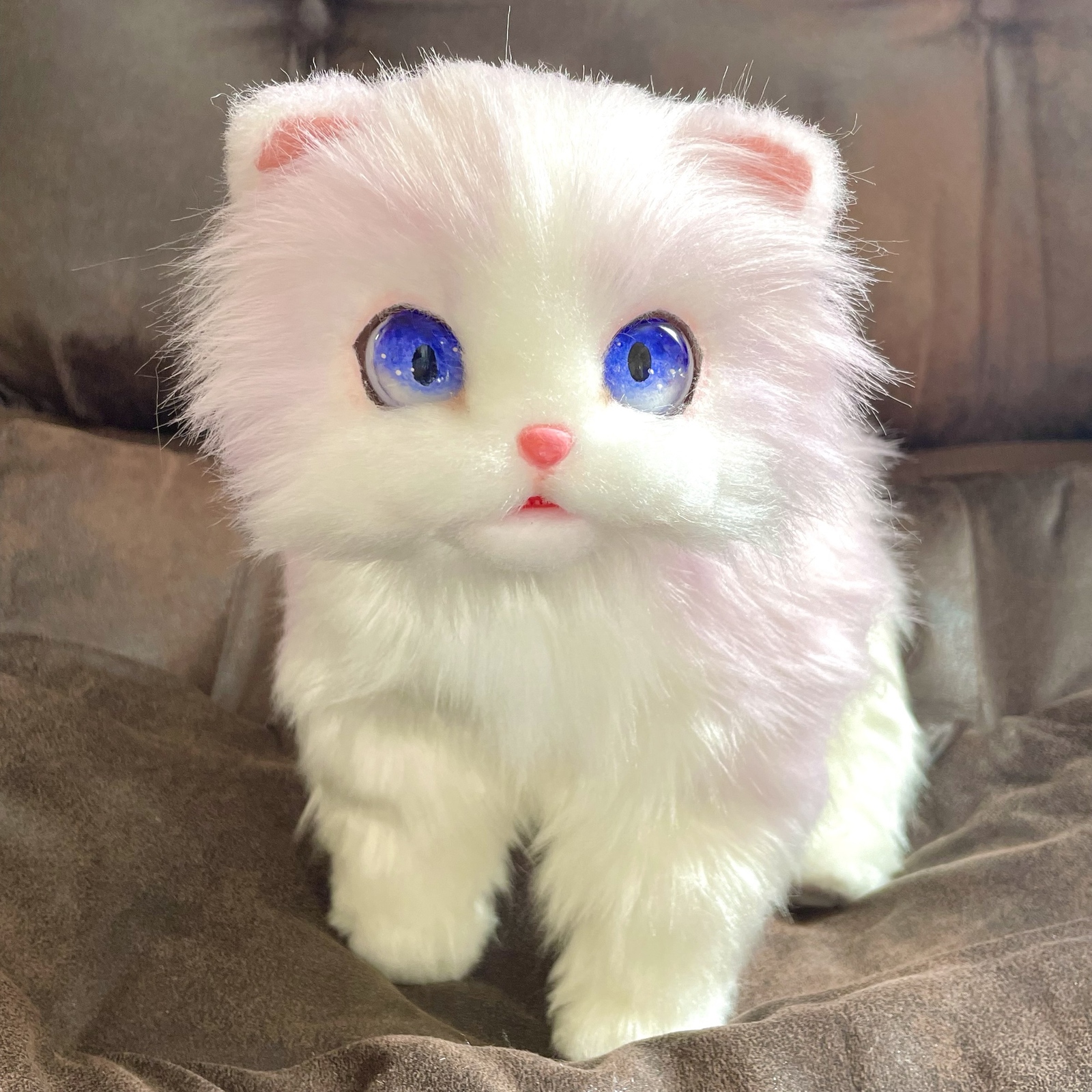 ポッケにゃん♡おねむちゃん♡エキゾチックベビー♡子猫♡アートドール♡ぬいぐるみ♡ ポッケにゃん♡エキゾチック子猫ちゃん♡アートドール