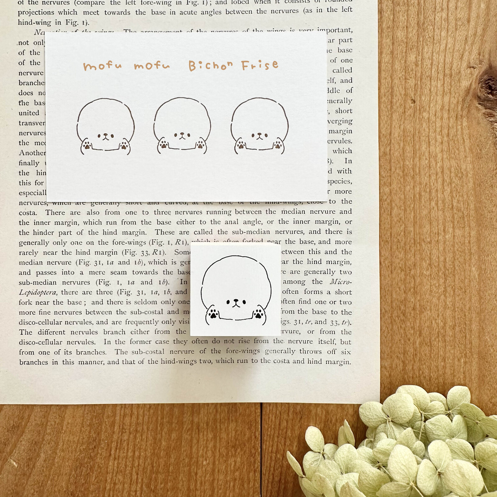 ビションフリーゼ - はんこ・スタンプの人気通販 | minne byGMOペパボ