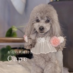 花の刺繍のベージュケープ／ケープ、バースデー、記念日、誕生日、ベビークラウン、犬、猫