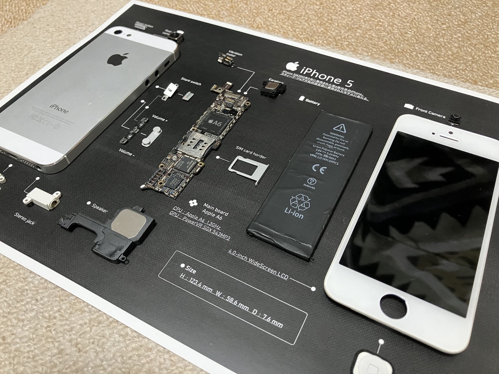 再販ナシ！】apple iPhone 5 iPhone5 標本アート 自作 フレーム付き