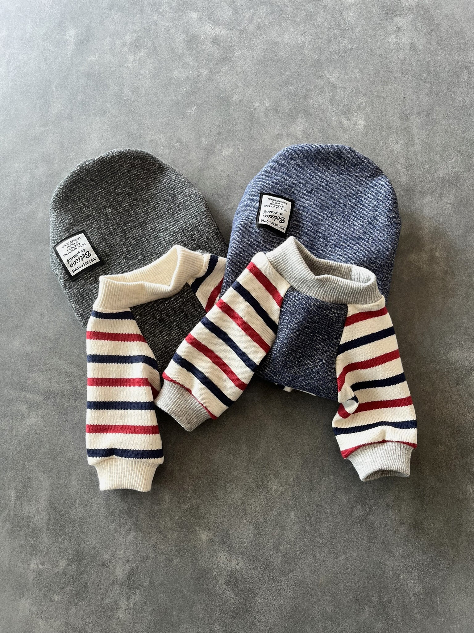 犬服 ラグラン(S) ꒡̈⃝Lily꒡̈⃝ハンドメイド 犬服 ラグラン Xmas