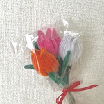 ふわもこ　チューリップ🌷