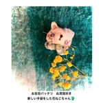 花ねこちゃんの欲しいもの羊毛ブローチ( お洒落が好きで可愛い手袋をした花ねこちゃん)