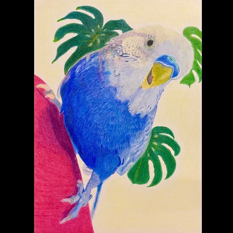 インコ - 絵画の人気通販 | minne byGMOペパボ 国内最大級の