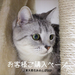 dreamぴぃい様 専用