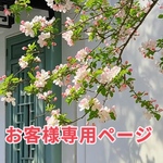 お客様専用ページ　ブレスレット７本