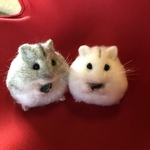 受注制作　まんまるハムスター2匹セット
