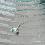 夜光貝 ホエールテール （小）14kgfネックレス