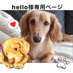 hello様 愛犬ちゃん🎵