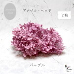 大地農園！プリザーブドフラワー　2輪分【ソフトアナベルアジサイ　パープル】プリザ　アジサイ　紫陽花 花材 ハーバリウム おしゃれ かわいい プレゼント 贈り物　オオチノウエン ソフトピラミッドアジサイ