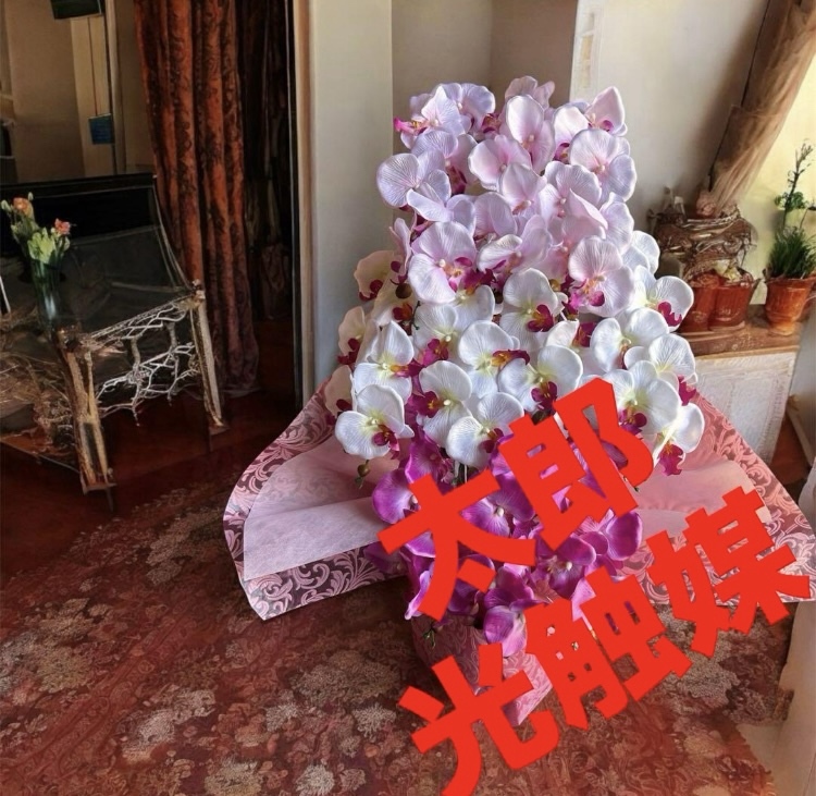 光触媒　人工観葉植物　ウォールグリーン　フェイクグリーン　胡蝶蘭8250tp