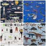 stmkn25様専用　ナフキンセット