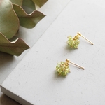 "peridot..petit" サージカルステンレス ペリドット プチ ピアス  ☽