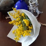 ミモザの花だけを束ねたドライフラワーミニブーケ ミニスワッグ そのまま置くだけで可愛く飾れます！送別 卒業 プチギフト スワッグ