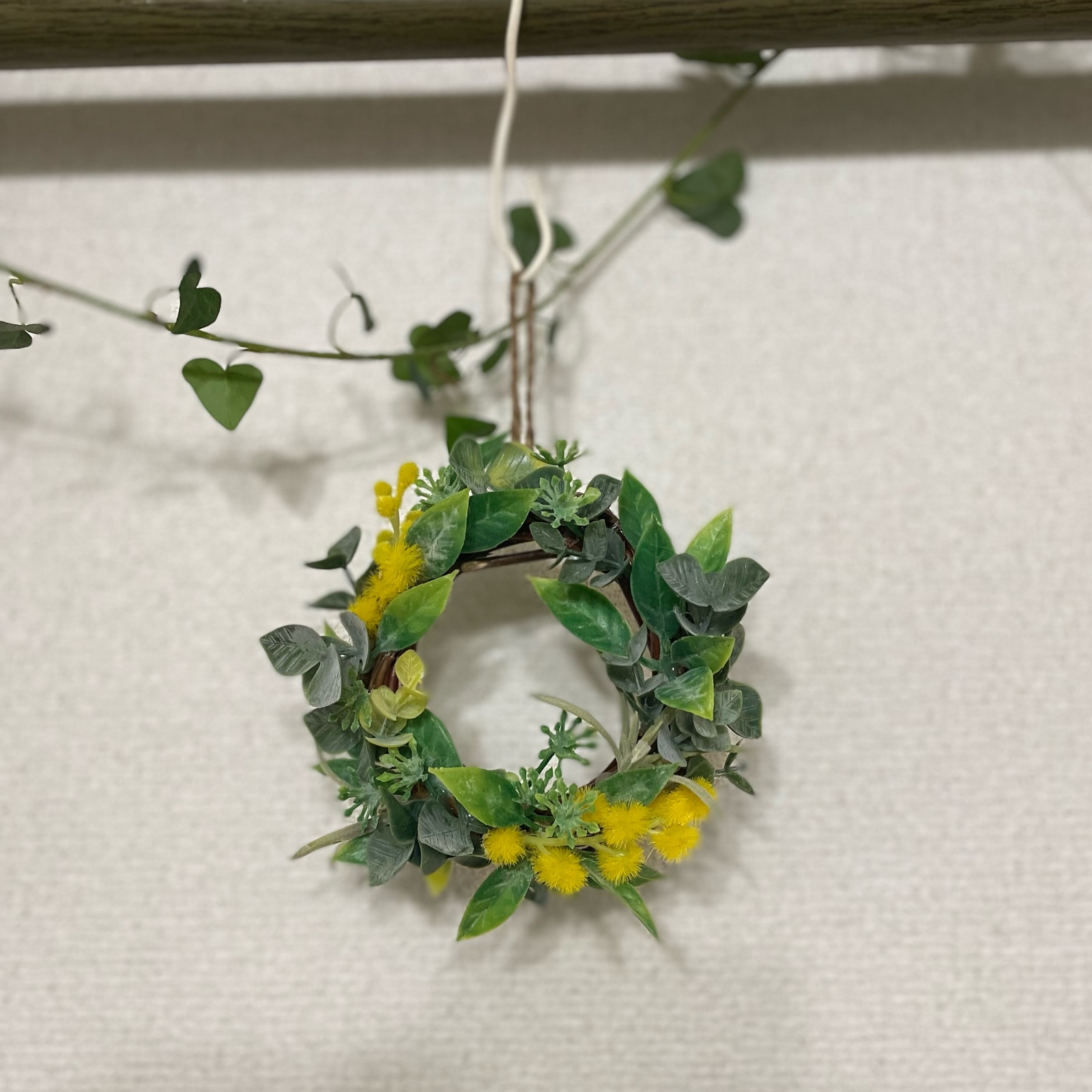 可憐なかすみ草の花冠 - COLORED