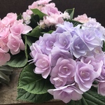 フルーリン♡マーブル色♡アジサイ♡八重咲き♡紫陽花♡ガーデニング