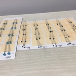 dさま専用ページ