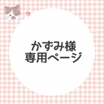専用ページ