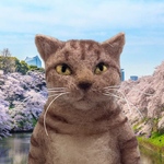 no.331 シマ猫さんと白ウサギさん