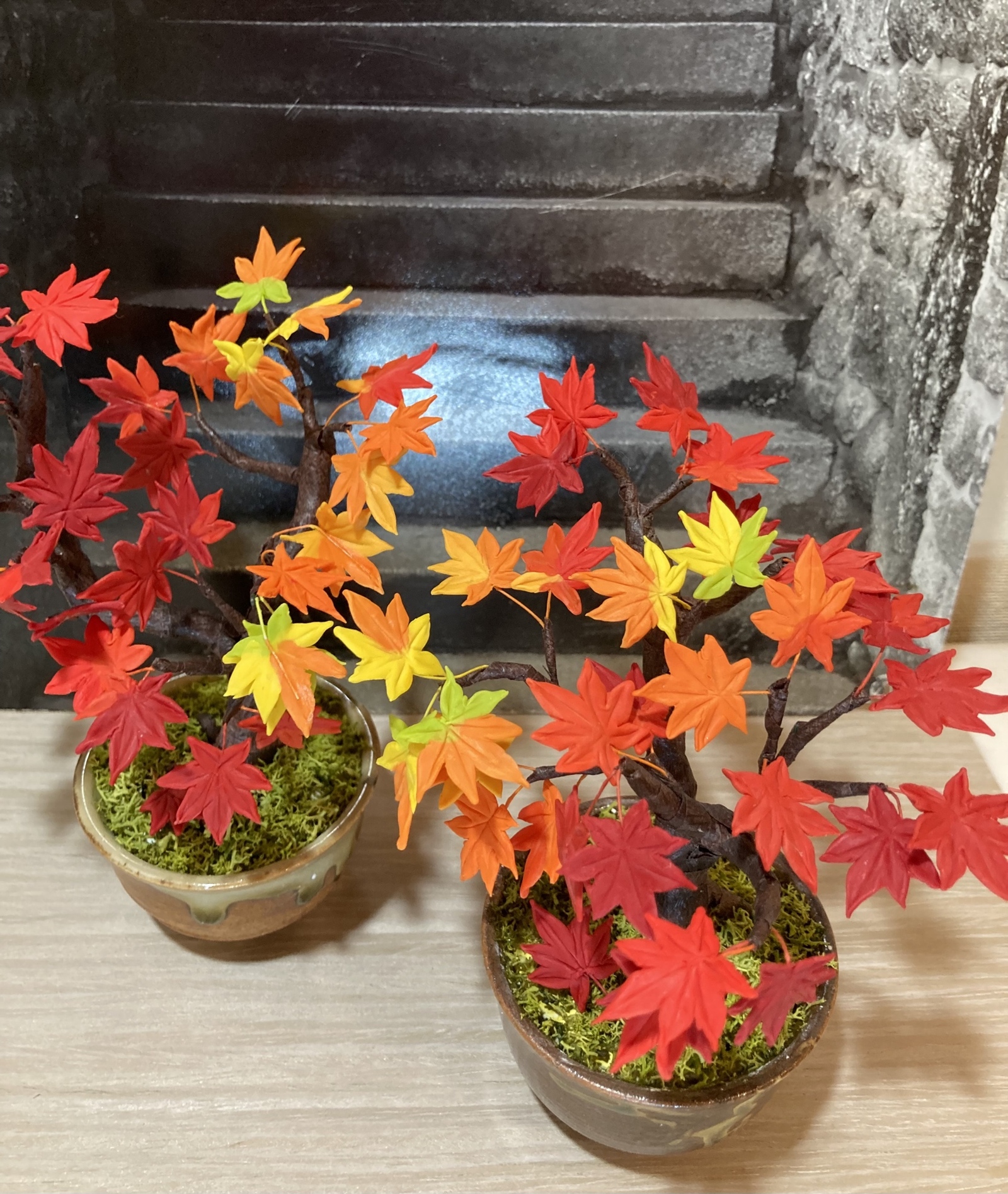 あめつち工房　ミニ盆栽 あめつち工房　ミニ盆栽