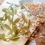 SALE🍎🇨🇳リーフテープ【1m】¥330→¥180