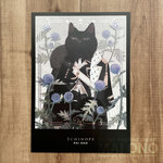 イラストカード ECHINOPS