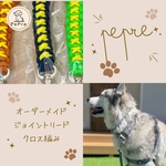 オーダーメイド⭐︎ジョイントリード⭐︎クロス編み